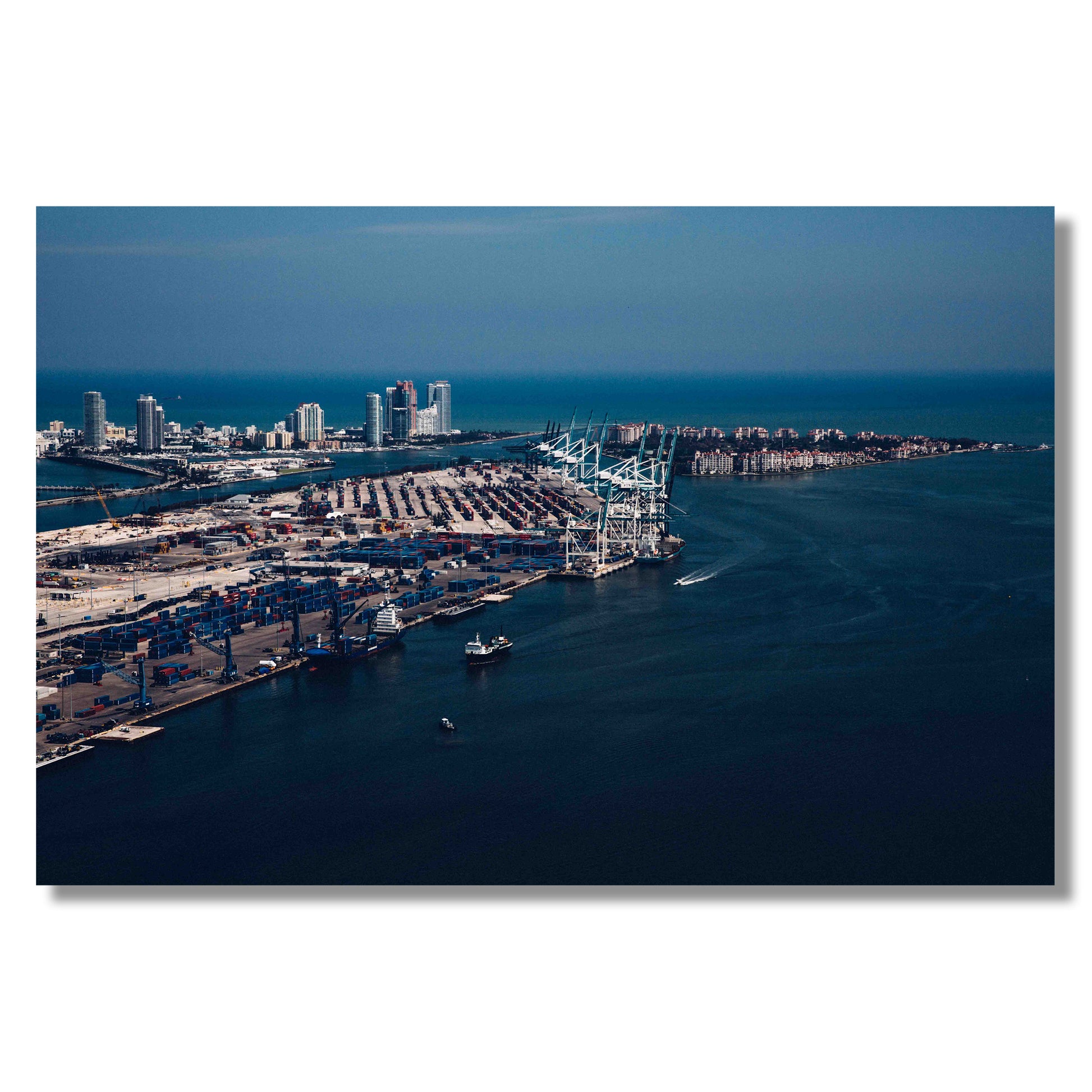 The Connect - Lorenzo Botero