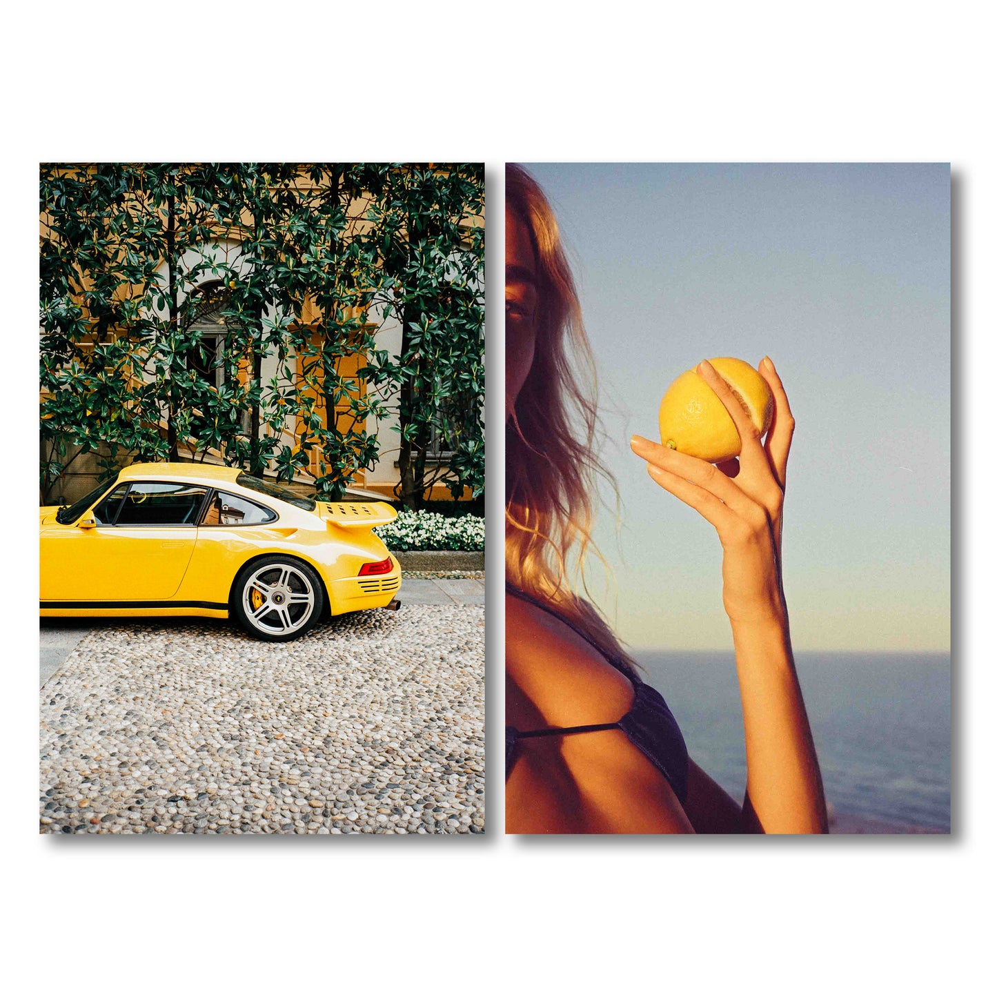 Canary Special - Lorenzo Botero